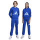 Adidas Παιδικό παντελόνι φόρμας Big Logo French Terry Pants